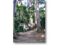 2010-03-22_12-33-43