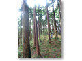 2010-03-22_13-44-58