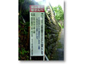 2009-05-30_09-19-20