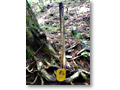 2009-05-30_09-56-16