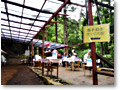 2009-06-07_08-32-18