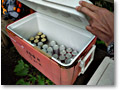 2009-06-07_10-42-30