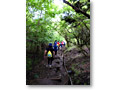 2009-06-07_11-57-59