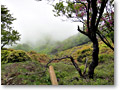 2010-06-06_11-00-25