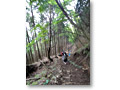 2010-06-06_11-54-21