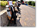 2010-06-06_08-31-21