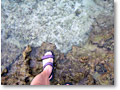 2008-11-17_14-46-36