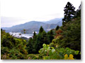 2008-11-09_09-21-00