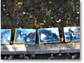 2009-11-15_13-25-20