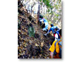 2009-11-15_08-10-51
