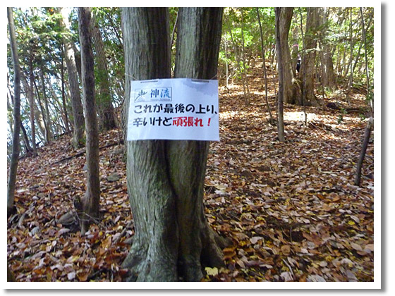 2009-11-15_12-17-22