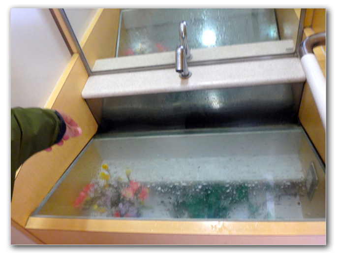 2019-05-02_15-45-21