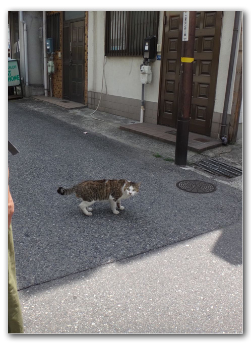 2019-05-06_10-24-41