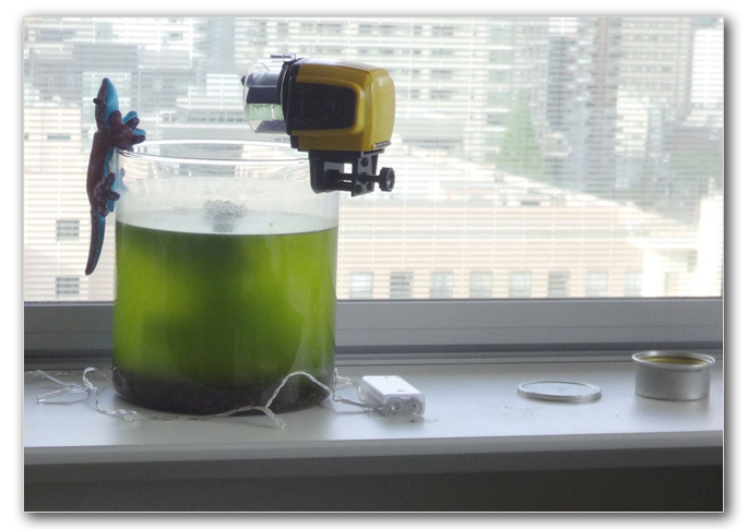 2019-05-07_06-41-20