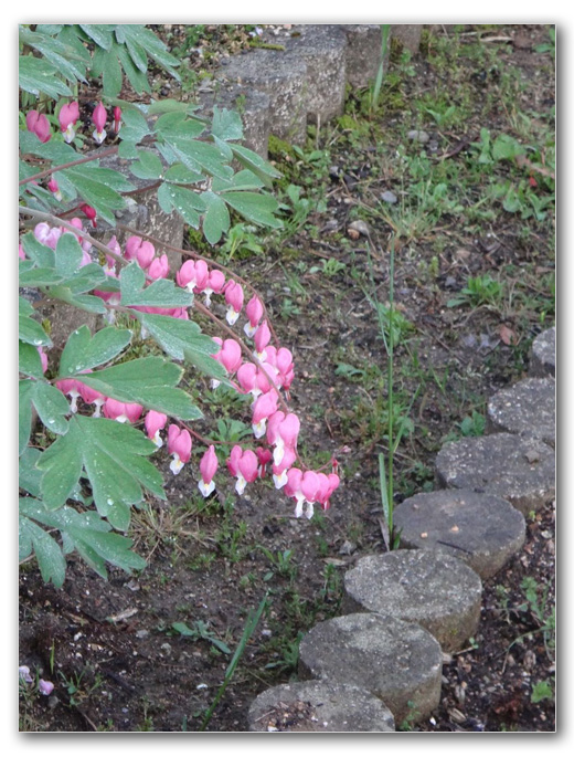 2019-05-04_06-03-19