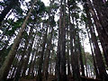 P1100678