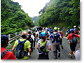 2009-07-05_06-39-10