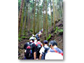2009-07-05_06-51-23