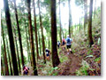 2009-07-05_07-11-32