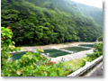 2009-07-05_07-54-46