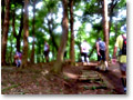 2009-07-05_08-33-58
