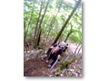 2009-07-05_10-12-42