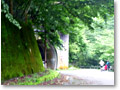 2009-07-05_10-17-07