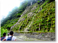 2009-07-05_10-19-18