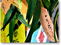 2009-07-04_15-57-58 copy