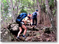 2009-07-05_11-19-39