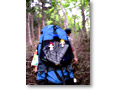 2009-07-05_11-24-11