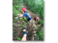 2009-07-05_11-49-14