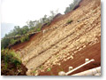 2009-07-05_12-22-14