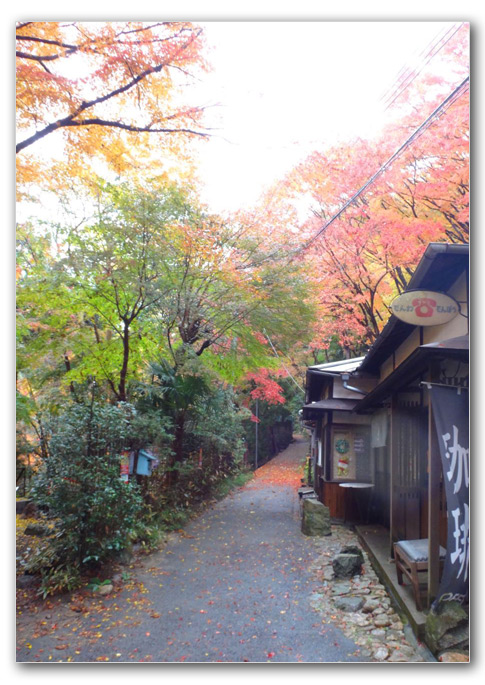 2014-11-25_11-00-40