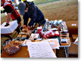 2010-02-28_12-40-22