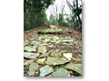 2010-03-01_13-02-37