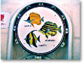 2010-02-27_12-55-21