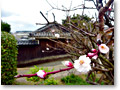 2010-02-27_15-22-45