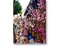 2010-02-27_15-25-06