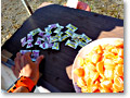 2010-02-28_09-50-50