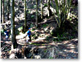2010-02-28_11-11-44