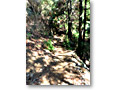 2010-02-28_11-13-36