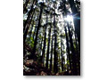 2010-02-28_11-21-23