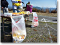 2010-02-28_11-24-03