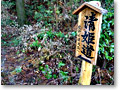 2010-02-28_11-25-22