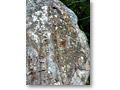2010-02-27_11-10-56