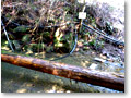 2010-02-28_11-42-40