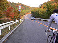 それほど紅葉してない道。