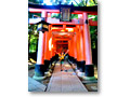 2008-12-13_12-55-20