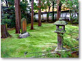 2009-11-22_10-47-47